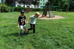 IMG_20250602_104640