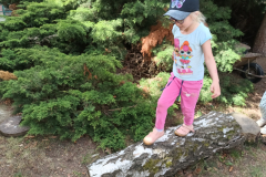 IMG_20250602_105218746_HDR