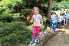 IMG_20250602_105253103_HDR