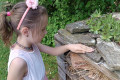 IMG_20240514_155827