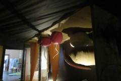IMG_7537