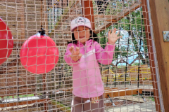 IMG_20250529_110343069_HDR