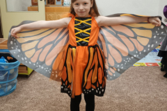 IMG_20260219_073944628