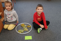 IMG_20251013_090458721 IMG_20251013_090458721