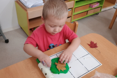 IMG_20251015_072915941 IMG_20251015_072915941