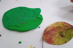 IMG_20251015_074833956 IMG_20251015_074833956