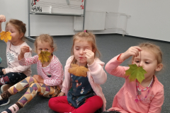 IMG_20251015_085021811 IMG_20251015_085021811