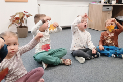 IMG_20251015_085028766 IMG_20251015_085028766