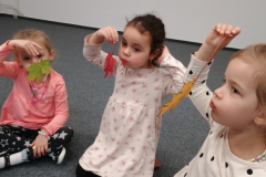 IMG_20251015_085045573 IMG_20251015_085045573