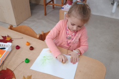 IMG_20251015_092214276 IMG_20251015_092214276