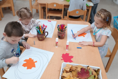 IMG_20251017_080830469 IMG_20251017_080830469