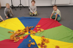 IMG_20251017_090132772 IMG_20251017_090132772