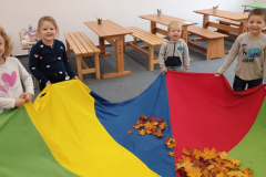 IMG_20251017_090211464 IMG_20251017_090211464