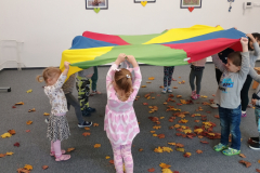 IMG_20251017_090606257 IMG_20251017_090606257