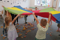 IMG_20251017_090615519 IMG_20251017_090615519