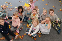 IMG_20251017_090730848 IMG_20251017_090730848