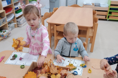 IMG_20251017_103332580 IMG_20251017_103332580