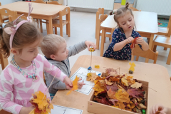 IMG_20251017_103338253 IMG_20251017_103338253