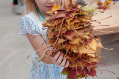 IMG_20251017_105652115 IMG_20251017_105652115