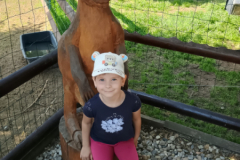 IMG_20260602_095928417_HDR