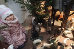 IMG_20260106_095004919