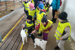 IMG_20260414_095143357