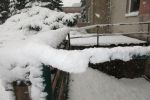 IMG_0818