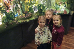 IMG_20251203_101154802
