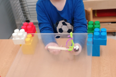 IMG_20260219_072603938