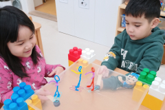 IMG_20260219_073259402