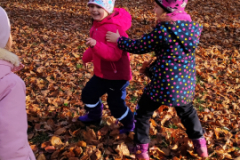 IMG_20251121_104643
