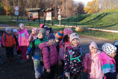 IMG_20251105_085240377_PORTRAIT