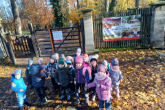 IMG_20251105_085834485_BURST000_COVER