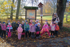 IMG_20251105_090256771