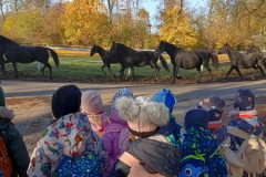 IMG_20251105_090557716_HDR