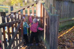 IMG_20251105_091120058