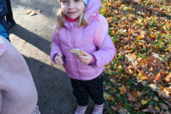 IMG_20251105_091301367_BURST000_COVER