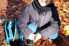 IMG_20251105_091419291