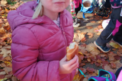 IMG_20251105_091432245