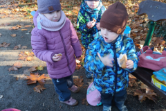 IMG_20251105_091434426_BURST000_COVER