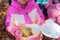 IMG_20251105_091450827