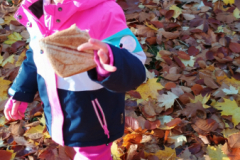 IMG_20251105_091456593