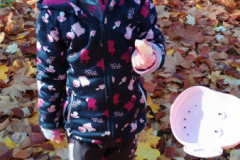 IMG_20251105_091500837