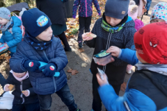 IMG_20251105_091503202_HDR