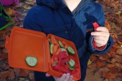 IMG_20251105_091526877