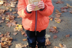 IMG_20251105_091611626