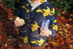 IMG_20251105_091737166