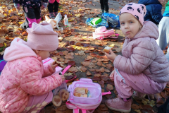 IMG_20251105_091753246