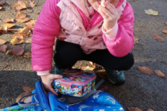 IMG_20251105_091851218