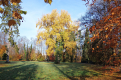 IMG_20251105_092301739